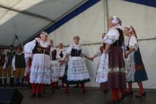 Zvětšit