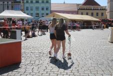 Zvětšit