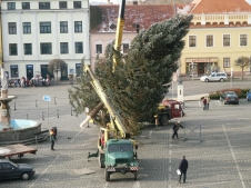 Zvětšit