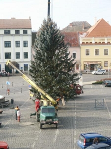 Zvětšit