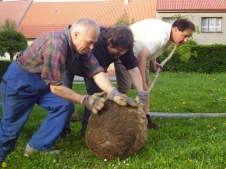 Fotografie z výsadby Vodňanského stromu Země 2009