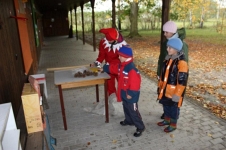 Fotografie z Toulek zlatem podzimu