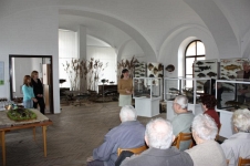 Zvětšit