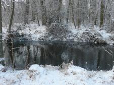 Winter in Vodňany