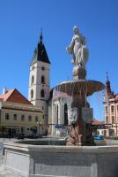 Zvětšit