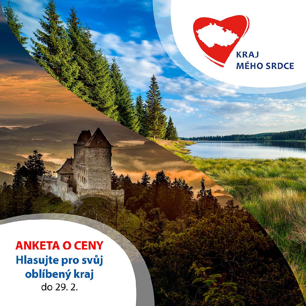 Obrázek - Anketa