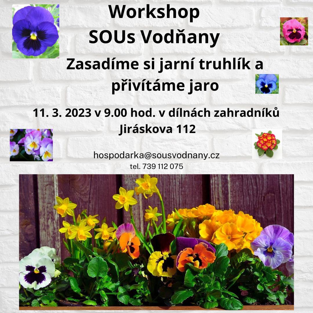 Plakát Workshop SOUs Vodňany